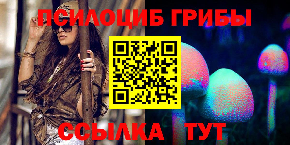 Псилоцибиновые грибы GOLDEN TEACHER Удомля